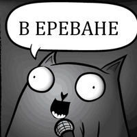 Кот стендапер
