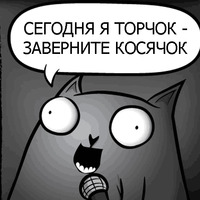 Кот стендапер