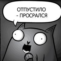 Кот стендапер