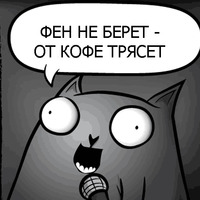 Кот стендапер