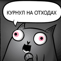 Кот стендапер