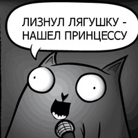 Кот стендапер