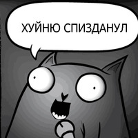 Кот стендапер