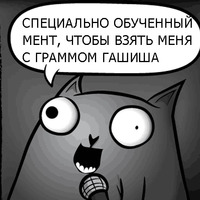 Кот стендапер