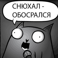 Кот стендапер