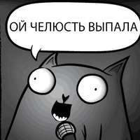 Кот стендапер