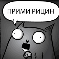 Кот стендапер