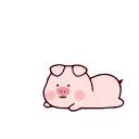 Stupid Pig- @cocopry