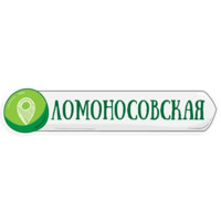 Петербургское метро