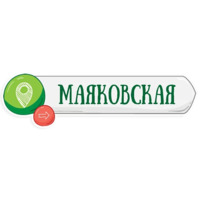 Петербургское метро