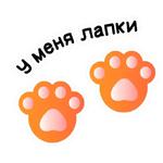 Кот Сушистик