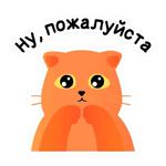 Кот Сушистик