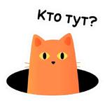 Кот Сушистик