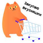 Кот Сушистик