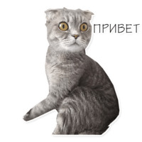 Сьюзерен