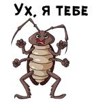 Таракашки ::  @animesticks