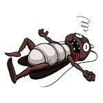 Таракашки ::  @animesticks