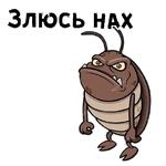 Таракашки ::  @animesticks