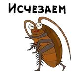 Таракашки ::  @animesticks