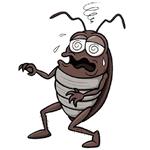 Таракашки ::  @animesticks