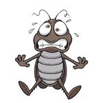 Таракашки ::  @animesticks