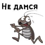 Таракашки ::  @animesticks