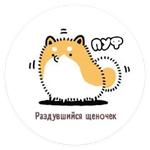 Тару-сиба: Бочки-щеночки