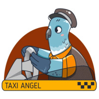 Голубь-таксист