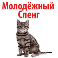 Молодёжный сленг