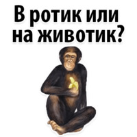 Молодёжный сленг