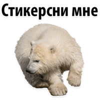 Молодёжный сленг
