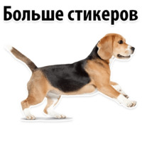 Молодёжный сленг