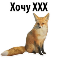Молодёжный сленг