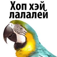 Молодёжный сленг