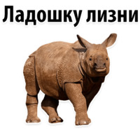 Молодёжный сленг
