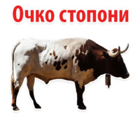 Молодёжный сленг