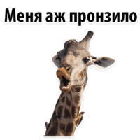 Молодёжный сленг