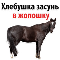 Молодёжный сленг