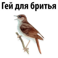 Молодёжный сленг
