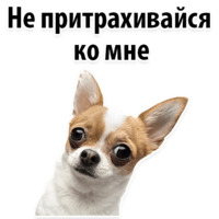 Молодёжный сленг