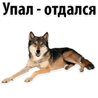 Молодёжный сленг