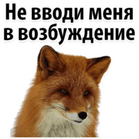 Молодёжный сленг