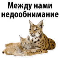 Молодёжный сленг