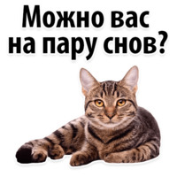 Молодёжный сленг
