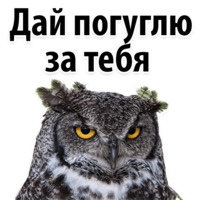 Молодёжный сленг