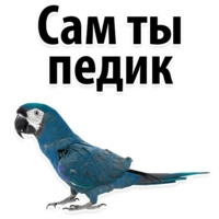 Молодёжный сленг