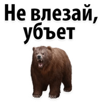 Молодёжный сленг