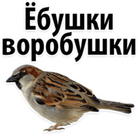 Молодёжный сленг
