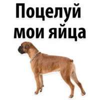 Молодёжный сленг