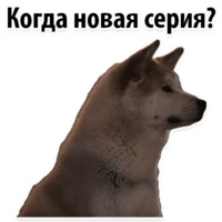 Молодёжный сленг